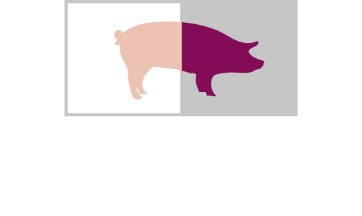 Denoual